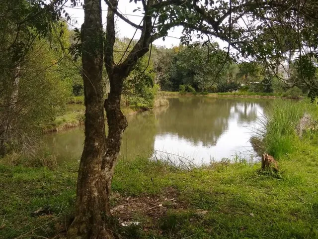 Imagem: Sítio com Açude