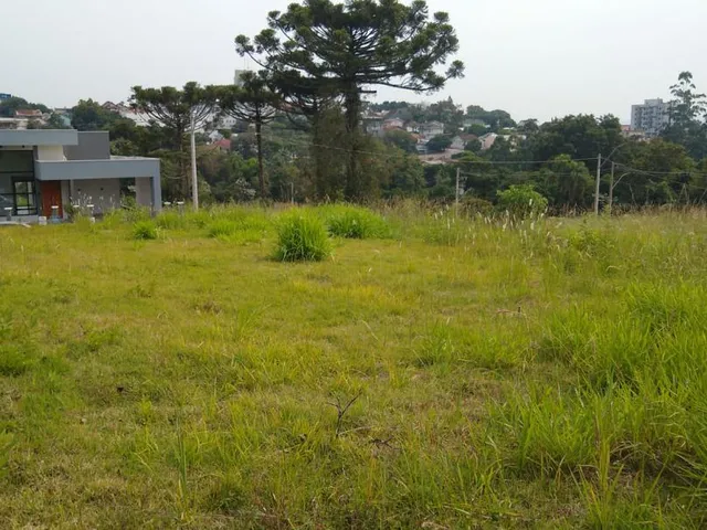 Imagem: Terreno no Jardim das Palmeiras