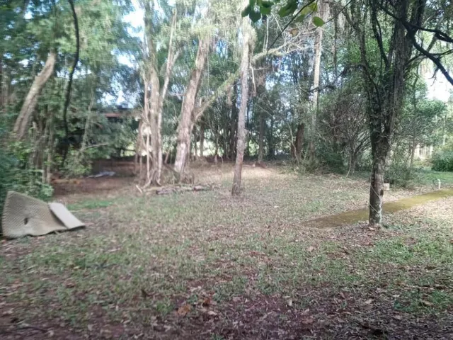 Imagem 3: Sítio - Chácara com 3 Dormitorio(s) localizado(a) no bairro Picada 48 Alta em Ivoti