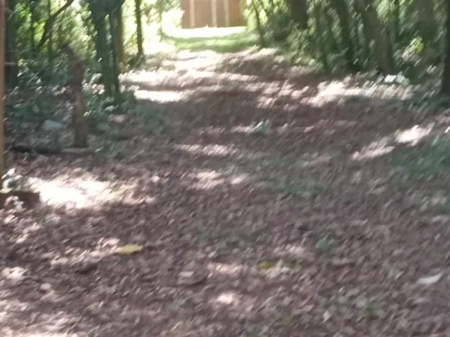 Imagem 6: Sítio - Chácara com 3 Dormitorio(s) localizado(a) no bairro Picada 48 Alta em Ivoti