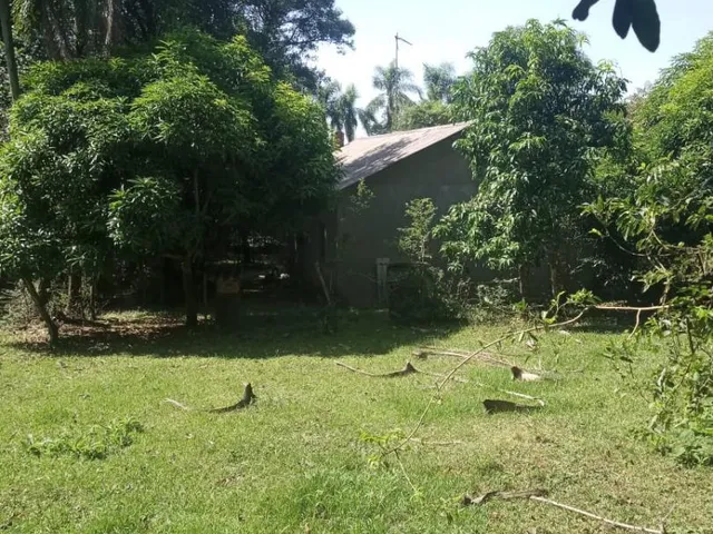 Imagem 12: Sítio - Chácara com 3 Dormitorio(s) localizado(a) no bairro Picada 48 Alta em Ivoti