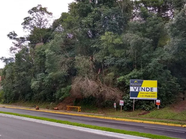 Imagem 3: Terreno com 3 Dormitorio(s) localizado(a) no bairro Cidade Nova em Ivoti / Rio Grande do