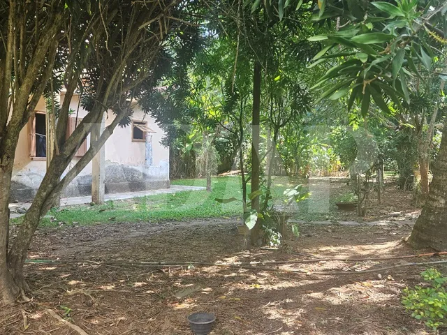 Imagem 6: Sítio à venda em Vargem Grande, Rio de Janeiro-RJ: 05 quartos, 01 suíte, 01 sala, 03