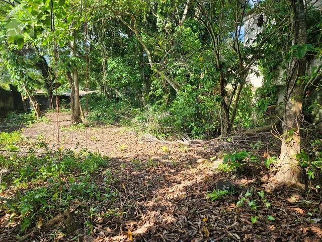Imagem 9: Terreno à venda em Vargem Grande, Rio de Janeiro-RJ: 652m² de oportunidade imperdível!