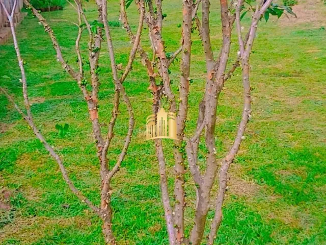 Imagem 2: TERRENO À VENDA NO BAIRRO CIDADE JARDIM ? ESMERALDAS/MG