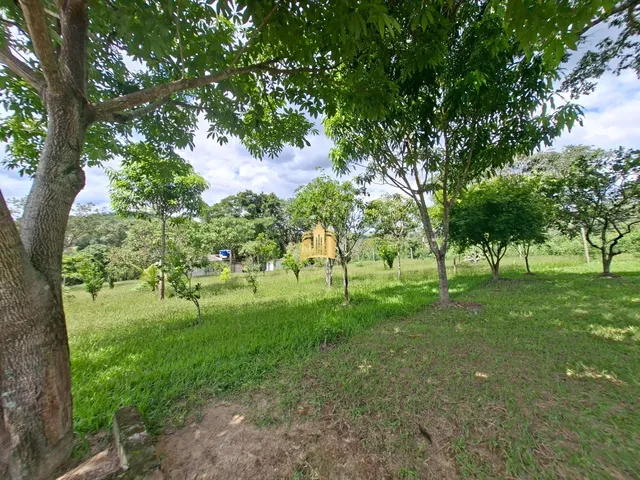 Imagem 7: SITIO A VENDA EM BAMBUS ESMERALDAS/MG R$370.000,00
