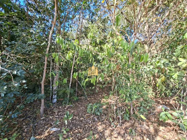Imagem: Terreno 4 Hectares Plano Esmeraldas Rural