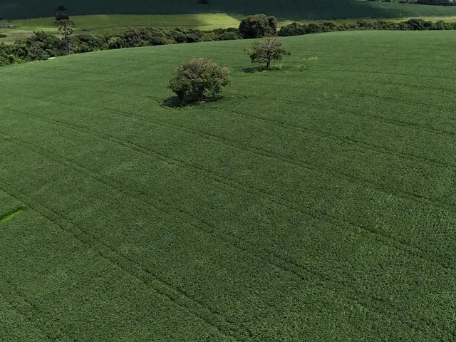 Imagem: FAZENDA RURAL em CAREAÇU - MG, zona rural