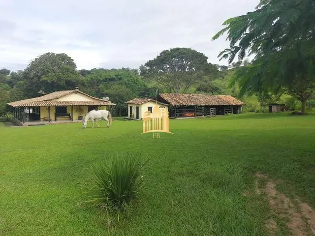Imagem 4: Sitio em andiroba - Esmeraldas