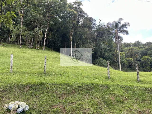 Imagem 13: Terreno em Condomínio fechado na subida da serra de Campo Alegre, ainda em Joinville