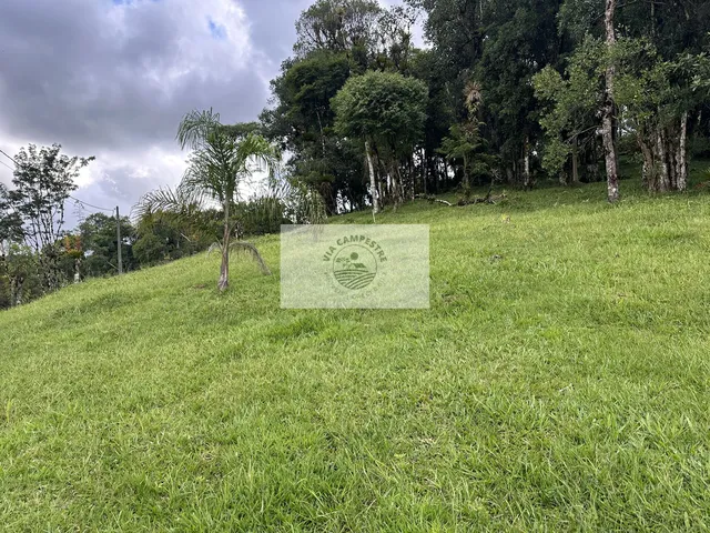 Imagem 16: Terreno em Condomínio fechado na subida da serra de Campo Alegre, ainda em Joinville