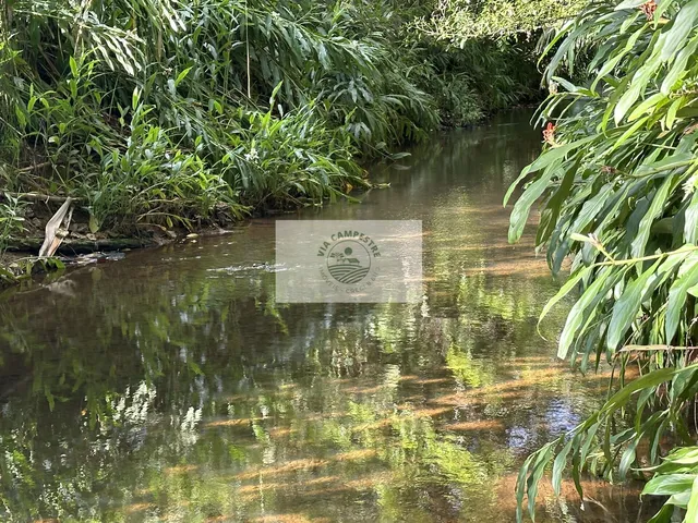 Imagem 12: Sítio com 37.866 m², frente para o asfalto, com rio passando dentro, na Estrada