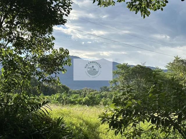 Imagem 2: Sítio com 37.866 m², frente para o asfalto, com rio passando dentro, na Estrada