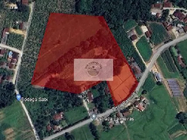 Imagem 5: Sítio com 37.866 m², frente para o asfalto, com rio passando dentro, na Estrada