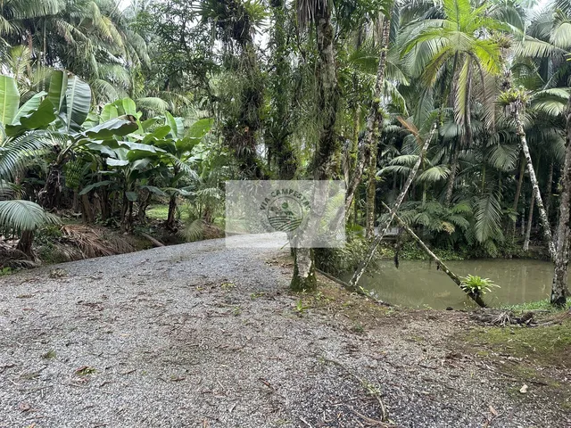 Imagem 15: Sítio com residência colonial, 3 quartos, escriturado, 20.200 m², com riacho, analisa