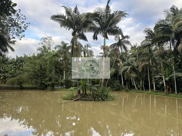 Imagem 7: Sítio com residência colonial, 3 quartos, escriturado, 20.200 m², com riacho, analisa