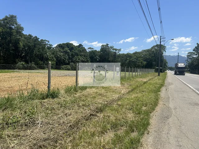 Imagem 16: Area rural de frente para o asfalto, em Pirabeiraba, escriturada, com 66.000 m², analisa