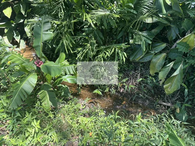 Imagem 10: Area rural de frente para o asfalto, em Pirabeiraba, escriturada, com 66.000 m², analisa