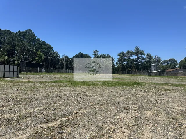 Imagem 5: Area rural de frente para o asfalto, em Pirabeiraba, escriturada, com 66.000 m², analisa