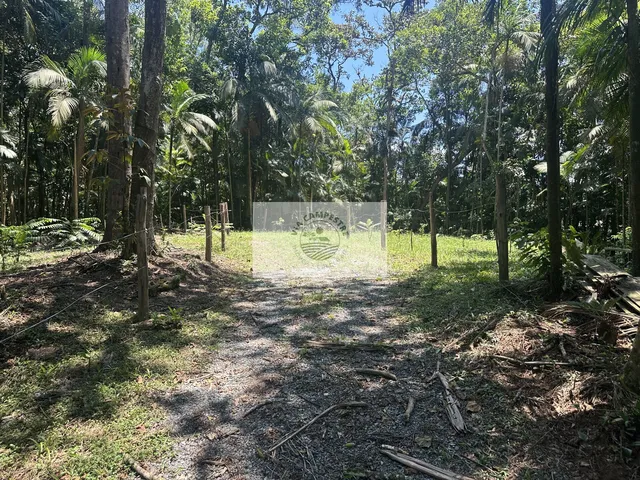 Imagem 12: Area rural de frente para o asfalto, em Pirabeiraba, escriturada, com 66.000 m², analisa