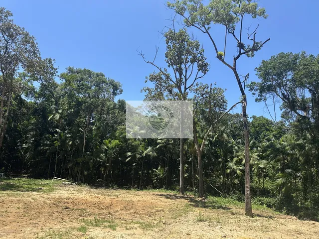 Imagem 9: Area rural de frente para o asfalto, em Pirabeiraba, escriturada, com 66.000 m², analisa