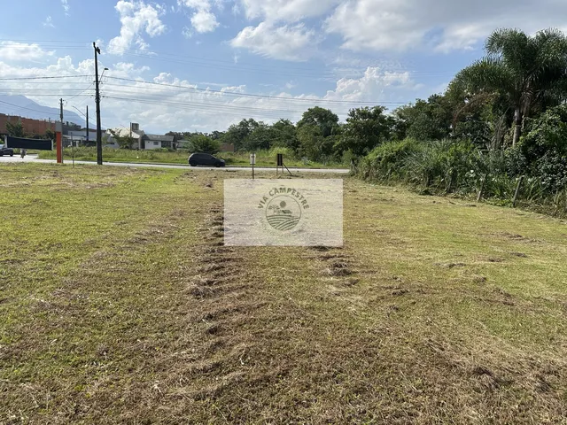 Imagem 5: Terreno comercial com 504,00 m² no Vila Nova, frente para a rua São Firmino, poucos