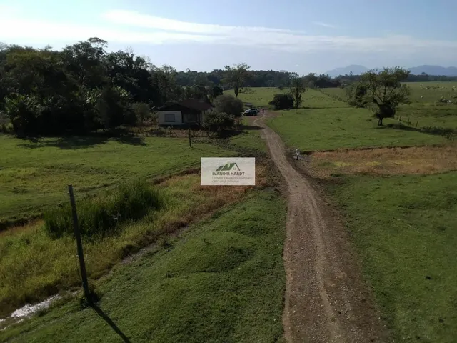 Imagem 2: Área na Estrada da Ilha com 96.160 m², frente para o asfalto, toda plana e limpa
