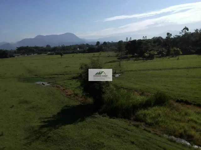 Imagem 5: Área na Estrada da Ilha com 96.160 m², frente para o asfalto, toda plana e limpa
