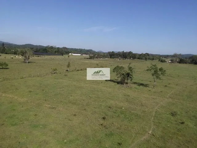 Imagem 8: Área na Estrada da Ilha com 96.160 m², frente para o asfalto, toda plana e limpa