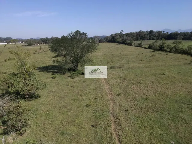 Imagem 11: Área na Estrada da Ilha com 96.160 m², frente para o asfalto, toda plana e limpa