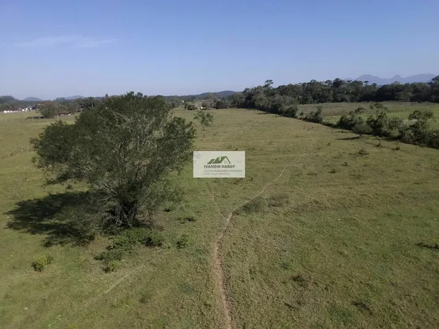 Imagem 14: Área na Estrada da Ilha com 96.160 m², frente para o asfalto, toda plana e limpa