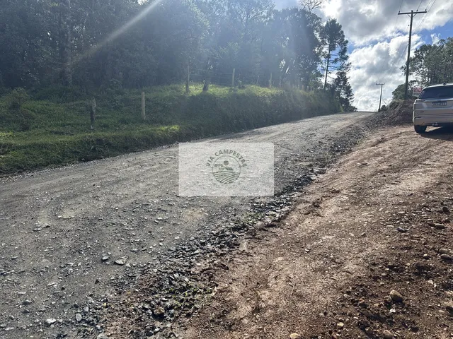 Imagem 11: Sítio com 20.000 m², escriturado, 8 km do asfalto, analisa permuta, apenas R$ 395.000,00