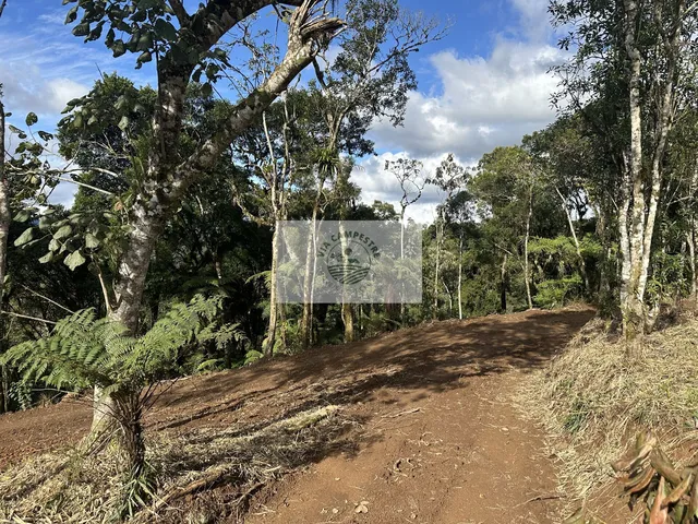 Imagem 12: Sítio com 20.000 m², escriturado, 8 km do asfalto, analisa permuta, apenas R$ 395.000,00