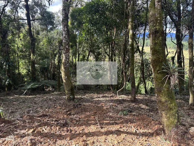 Imagem 5: Sítio com 20.000 m², escriturado, 8 km do asfalto, analisa permuta, apenas R$ 395.000,00