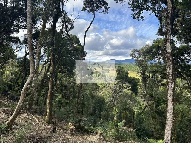 Imagem 13: Sítio com 20.000 m², escriturado, 8 km do asfalto, analisa permuta, apenas R$ 395.000,00