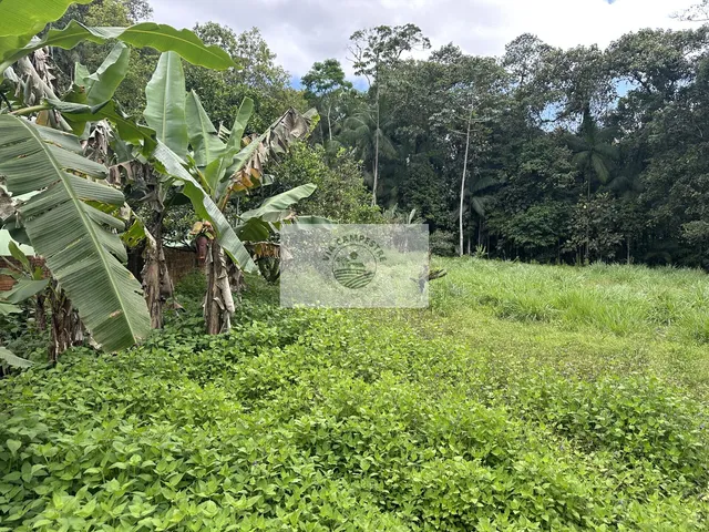 Imagem 2: Sítio em Pirabeiraba, com 6.000 m2, com riacho, boa parte limpa