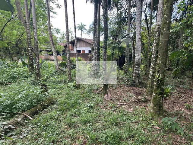 Imagem 9: Sítio em Pirabeiraba, com 6.000 m2, com riacho, boa parte limpa