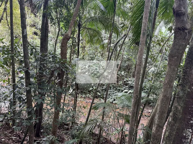 Imagem 14: Sítio em Pirabeiraba, com 6.000 m2, com riacho, boa parte limpa