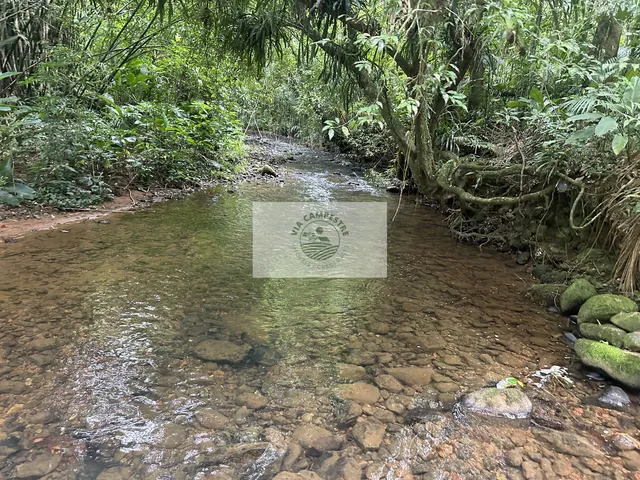 Imagem 2: Sítio com 109.509 m2 no Vila Nova, casa com 3 dormitorios, terreno com riachos e nascente