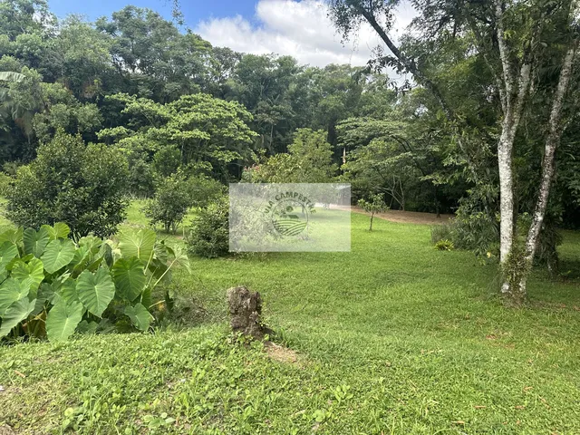 Imagem 8: Sítio com 109.509 m2 no Vila Nova, casa com 3 dormitorios, terreno com riachos e nascente