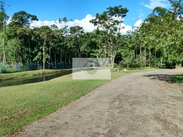 Imagem 8: Linda chácara em Pirabeiraba com 46.500 m², na Estrada Mildau, toda documentada, frente