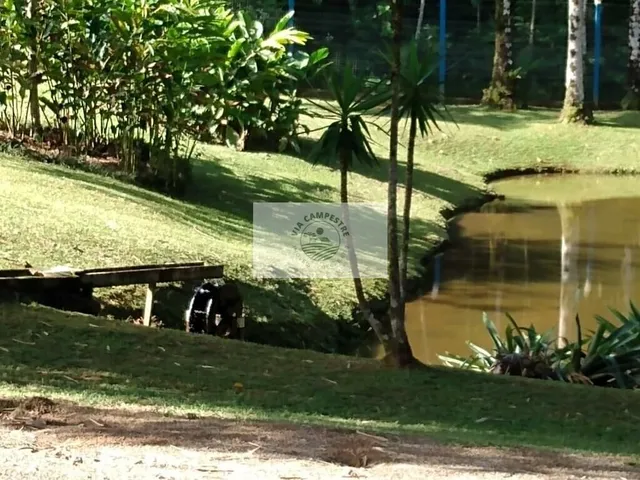 Imagem 7: Linda chácara em Pirabeiraba com 46.500 m², na Estrada Mildau, toda documentada, frente