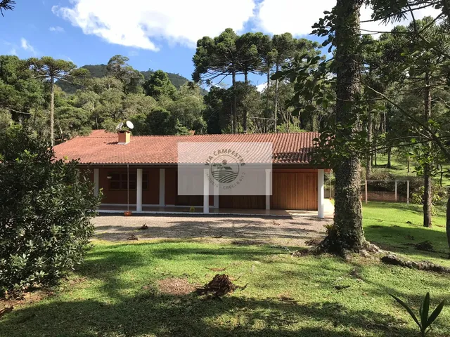 Imagem: Chácara em Campo Alegre com ampla residência