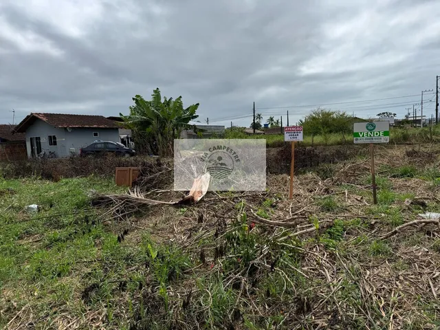 Imagem 5: Terreno em Ubatuba, São Francisco do Sul/SC