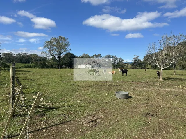 Imagem: A fazenda possui 1 Dormitório, 1 Banheiro, 15.000m² de