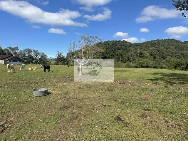Imagem 6: Terreno todo plano, com 15.000 m², fundos para o Rio Cubatão,...