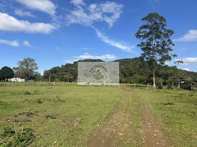 Imagem 4: Terreno todo plano, com 15.000 m², fundos para o Rio Cubatão,...