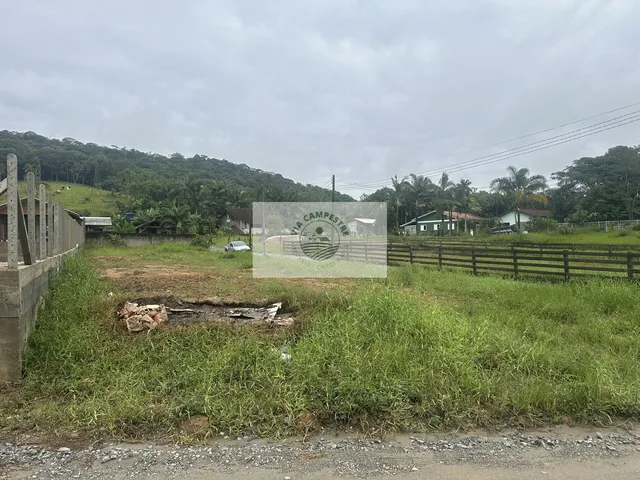 Imagem 3: Terreno com 675,00 m², Estrada Dedo Grosso, plano, apenas 400 metros da Rod. do Arroz