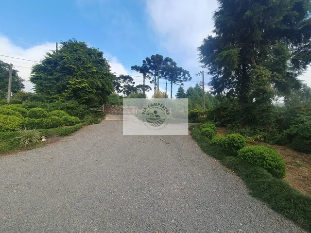 Imagem 3: Sítio com 46.000 m², zona urbana, otimo para condominio fechado ou loteamento, aceita