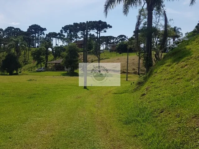 Imagem: Sítio com 143.000 m², com chalé, casa
